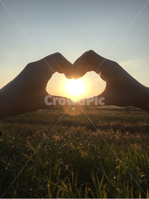 하트,자연,노을,풍경,가을,love,시골,저녁,사랑,감성,손모양,손,해,손하트,사람,인물,인간,human,person,신체일부,몸,body,감정표현,기분,feeling,emotion