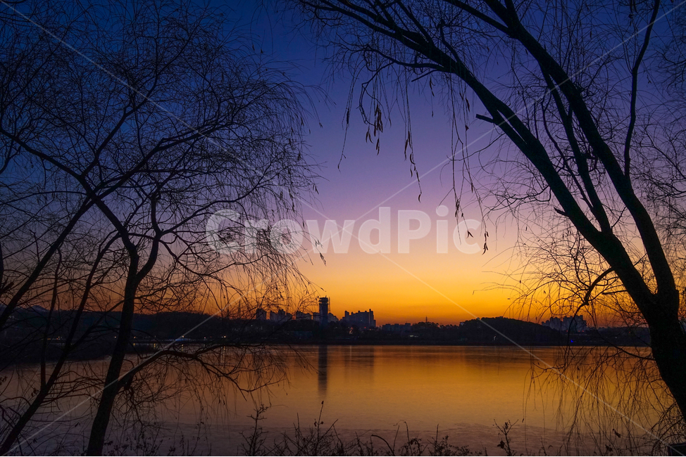 겨울,호수,여명,새벽,나무,풍경,야경,밤,풍경,nightscape,night,landscape,도시,city,실루엣,그림자,silhouette,shadow,nature,자연,outdoors,옥외,sky,하늘,red sky,붉은 하늘,dusk,황혼,dawn,sunset,일몰,plant,식물,tree