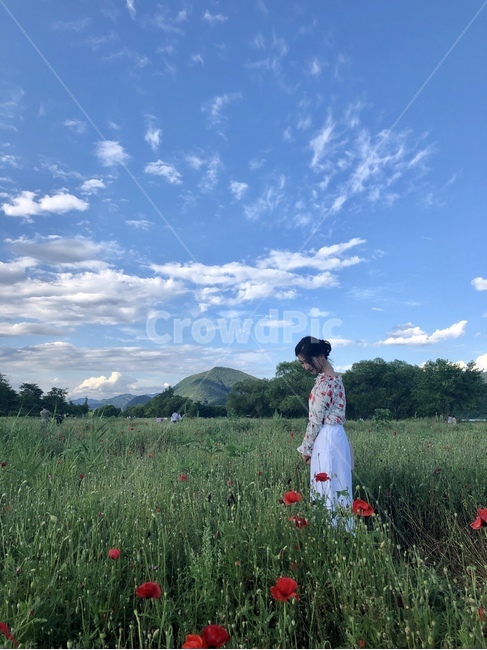 쉼표,사람,nature,자연,수선화,여자,의류,초록,하늘,꽃,옆모습,구름,휴식,가을산책,감성,감성사진,필름,사람,인물,인간,human,person,여성,여자,woman,female,lady