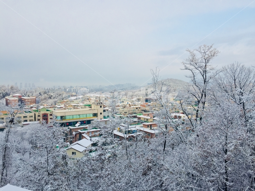 눈,풍경,나무,건물,하늘,겨울,계절,winter,season,도시,풍경,city,landscape,한국도시풍경,한국도시경관,korea cityscape,nature,자연,경치,outdoors,옥외,scenery,ice,얼음,빙