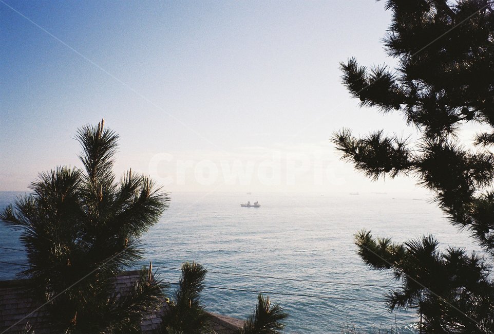 바다,색감,자유,힐링,여름휴가,휴가,여름,자연,풍경,nature,landscape,vacation,jeju,jejuisland,필름,필름카메라,감성,감성사진,빛,light,예쁜,아름다운,색체