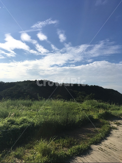 아차산,산,해,하늘,풍경,자연,잡초,구름,구름떼,가을하늘