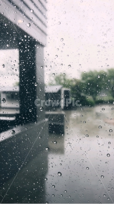비,빗물,창문,빗방울,건물,비,비오는날,rain,rainy