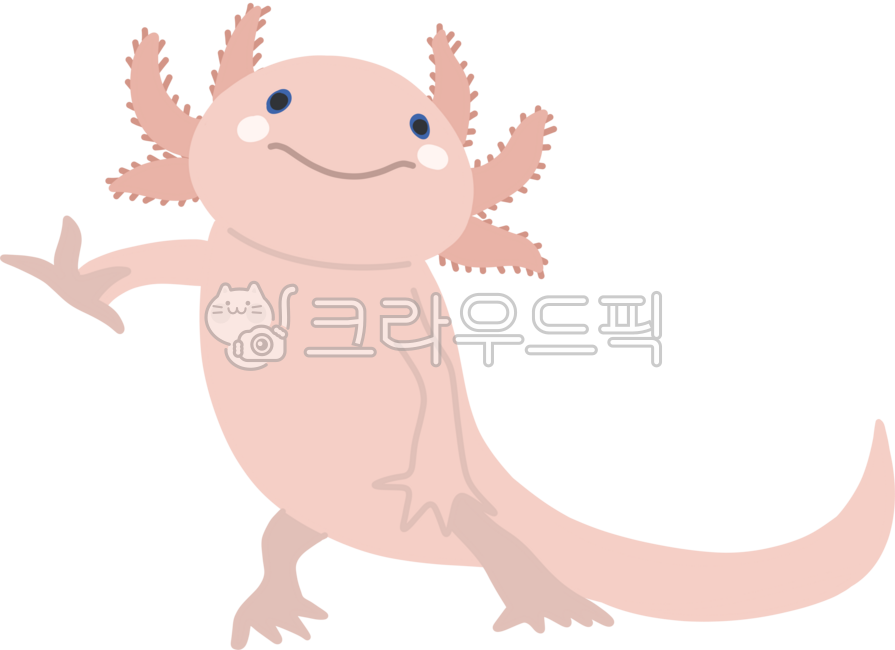 바다생물,물고기,우파루파,귀여운바다생물,우파루파캐릭터,분홍색물고기,귀여운,분홍색,꼬리