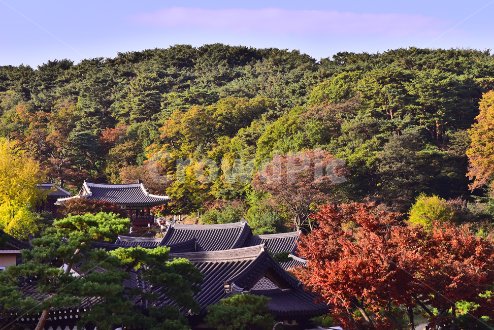 남한산성,세계문화유산,가을배경,한국전통,건축물,행궁,유네스코,unesco,보존,역사,복원,outdoors,nature,한국자연경관,숲,환경,야외,outdoor,기와집,자연,옥외,autumn,fall,season,배경,바탕,백그라운드,background,가을분위기,가을풍경,가을서정,가을,계절,fall,autumn,season,자연,풍경,nature,landscape,roof,지붕
