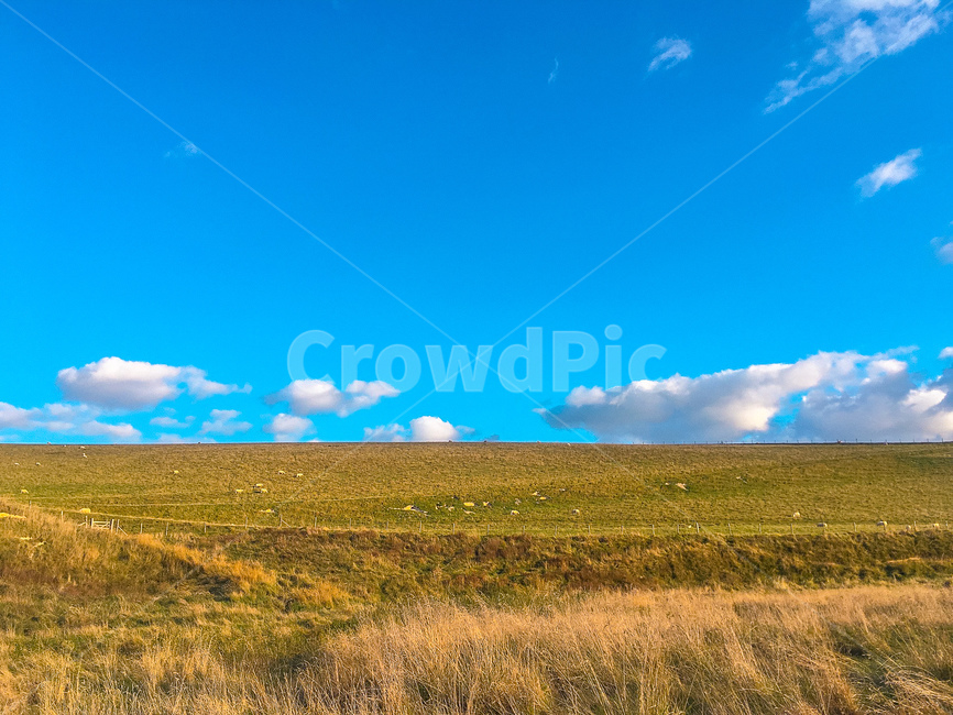 하늘,파란색,초원,자연,풍경,sky,blue,park,nature,landscape