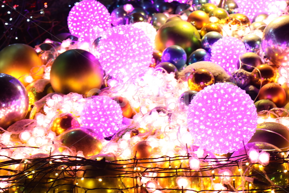 아침고요수목원,빛,빛축제,겨울,화려함,커플,아름다움,야경,밤,풍경,nightscape,night,landscape,lighting,조명