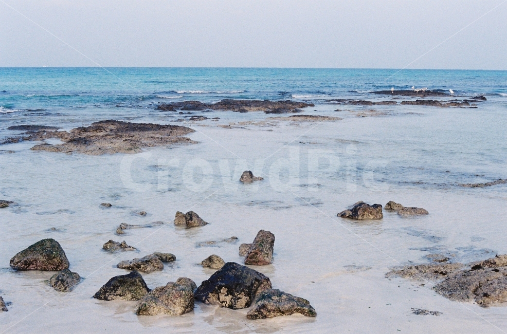 ​바다,차분,고요,제주,아날로그,감성,효신,필름사진,자연,해변,바다,beach,sea,감성,sensible,feeling