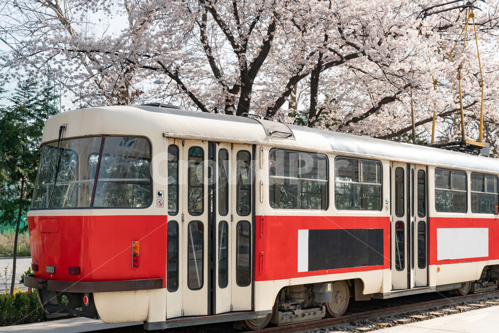 기차,열차,교통,트램,기차역,빈티지,화랑대,화랑대역,봄,train,transportation,tram,station,vintage,복고,교통,교통수단,traffic,transportation