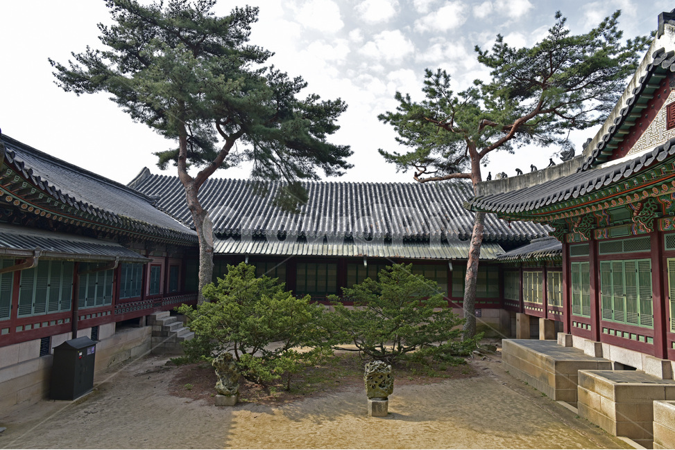 창덕궁,changdeokgungpalacecomplex,궁궐,문화유산,세계유산,한옥,이궁,동궐,단청,한국전통,한국문화,korean traditional,korean culture,랜드마크,landmark,tourist attraction,한국랜드마크,한국관광지,한국명소,korea landmark,korea tourist attraction,건축물,건물외관,exterior,building,structure,architecture,construction