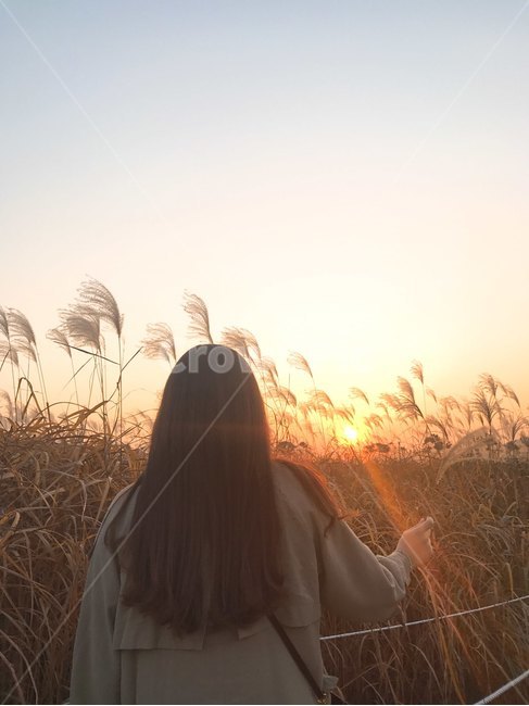 갈대,여자,뒷모습,긴머리,풍경