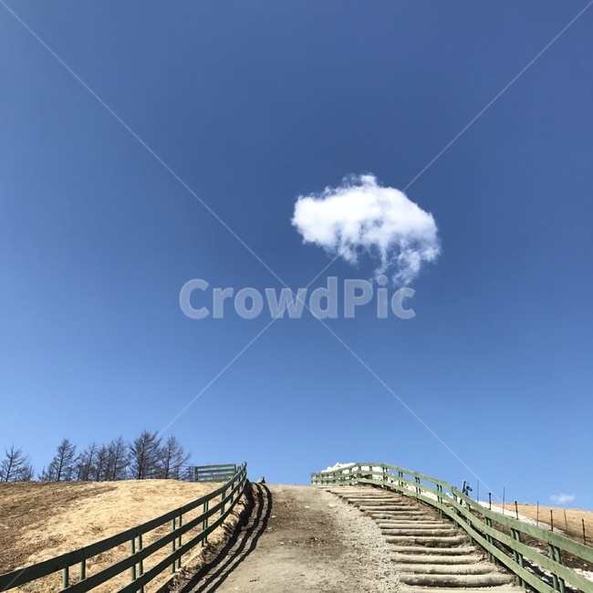 강원,평창,대관령,cloud,구름,오르막,자연,풍경,nature,landscape,outdoors,옥외,handrail,난간,banister