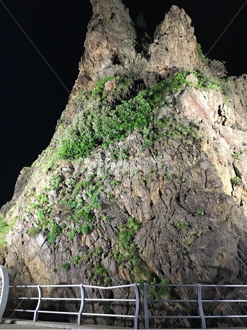 바위,울릉도,이끼,건물,빛,자연,풍경,nature,landscape,야경,밤,nightscape,night,outdoors,옥외,cliff,낭떠러지