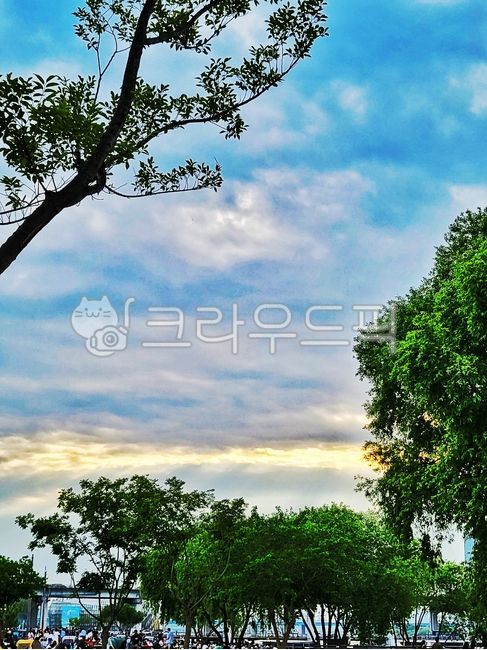 sky,Banpo Hangang Park,nature,tree,Hangang Citizens Park