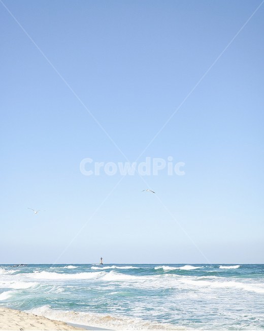 바다,하늘,파도,자연,풍경,갈매기,동해바다,sea,sky,wave,nature,southkorea,자연,풍경,nature,landscape,한국자연풍경,한국자연경관,korea nature landscape,leisure activities,레저 활동,adventure,모험,water,물,ocean,대양,outdoors,옥외