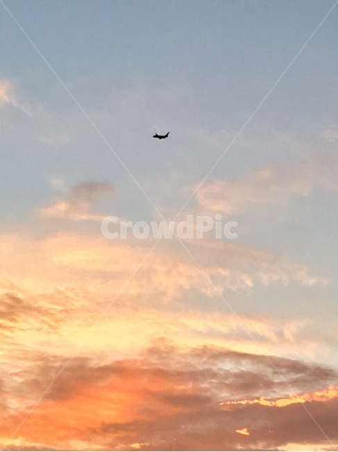 하늘,비행기,노을,이륙,구름,sky,airflight,flight,sunset,cloud,비행,aircraft,자연,풍경,nature,landscape