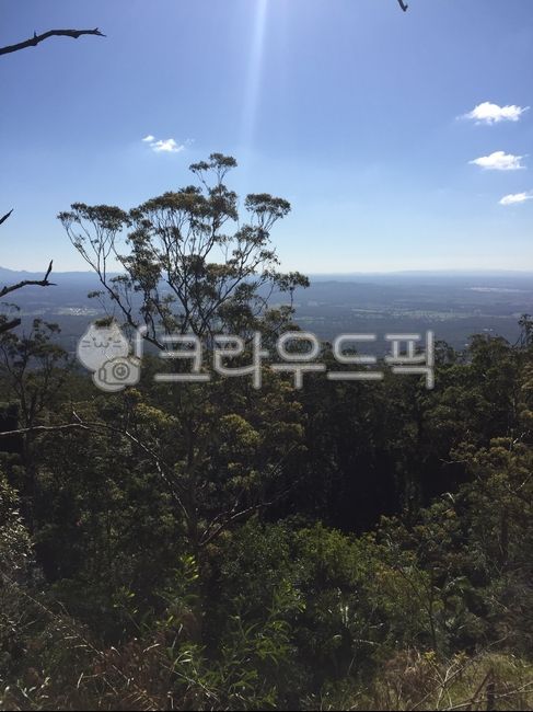 숲, forest, 산속, mountain, 산, 사진,이미지,일러스트,캘리그라피 - Kyle Jr작가
