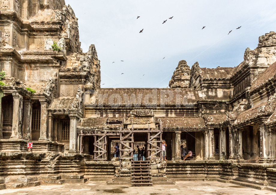 Cambodia,ancient architecture,nature,world cultural heritage,Historic sites,employee,building,Cultural Heritage,ruins,bird,land mark,Tourist destination,Emotion,Angkor Wat