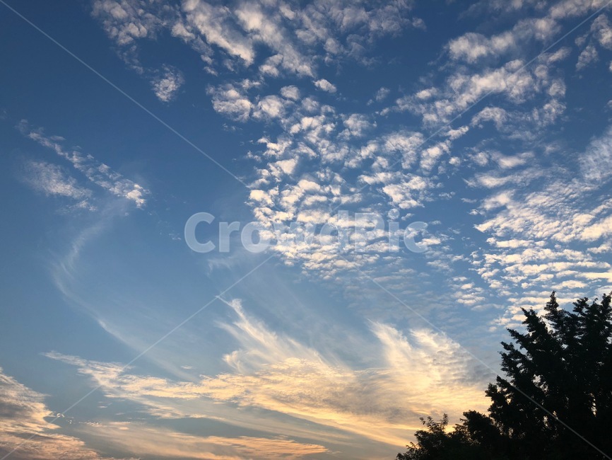 파란하늘,구름,나무,바람,cloud,저녁빛,여름