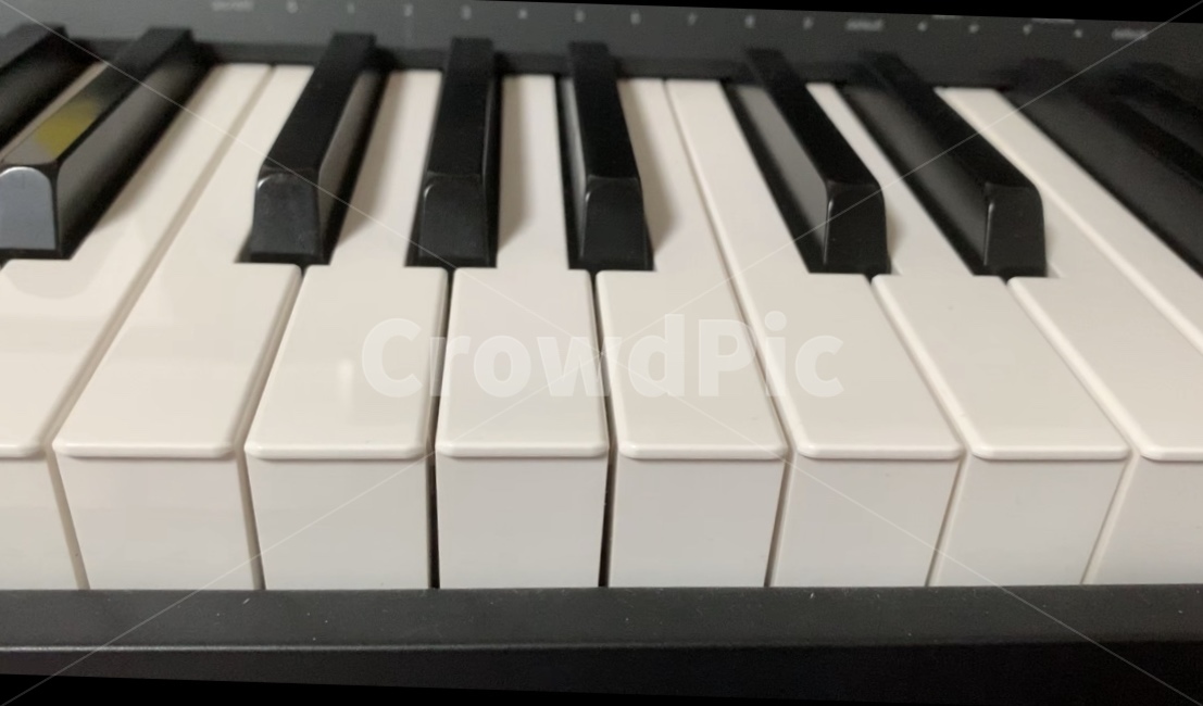피아노,건반,전자피아노,음계,keyboard,키보드,전자제품,악기,음향기기,musical instrument,musical equipment