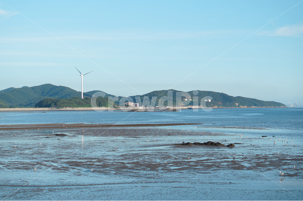 바다,남당리,갯벌,하늘,자연,갈매기,자연,풍경,nature,landscape,산업,industry,industrial,에너지산업,energy industry,land,땅,outdoors,옥외,ocean,대양,sea,water,물,shoreline,해안선,coast,연안