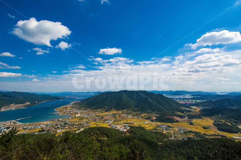 논,다랭이논,바다,가을풍경,들판,가을들판,자연,풍경,nature,landscape,한국자연풍경,한국자연경관,korea nature landscape,outdoors,옥외