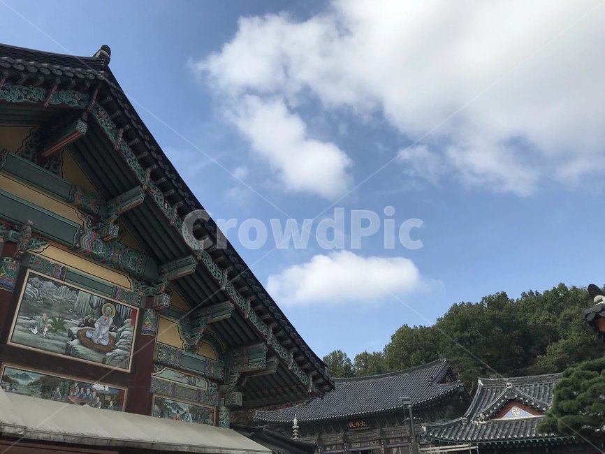 봉은사,절,하늘,가을,벽화,템스플레이