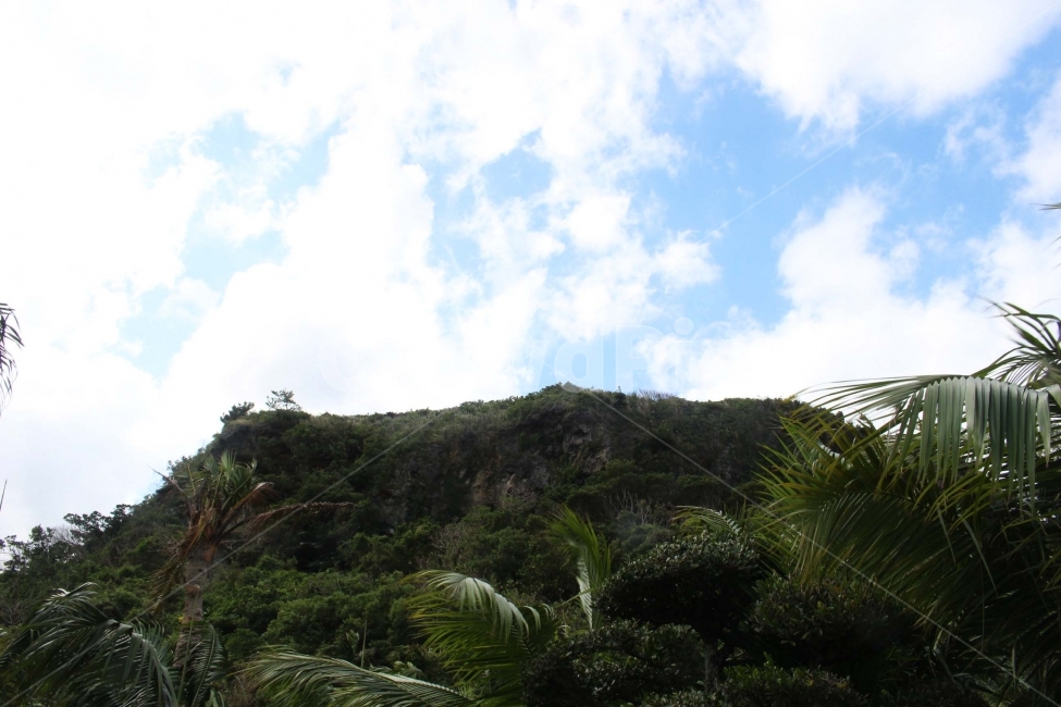하늘,구름,자연,숲,산림,식물원,산림욕,야외,나들이,나무,sky,tree,cloud,산,자연,풍경,nature,landscape,plant,식물,vegetation,초목,outdoors,옥외,land,땅