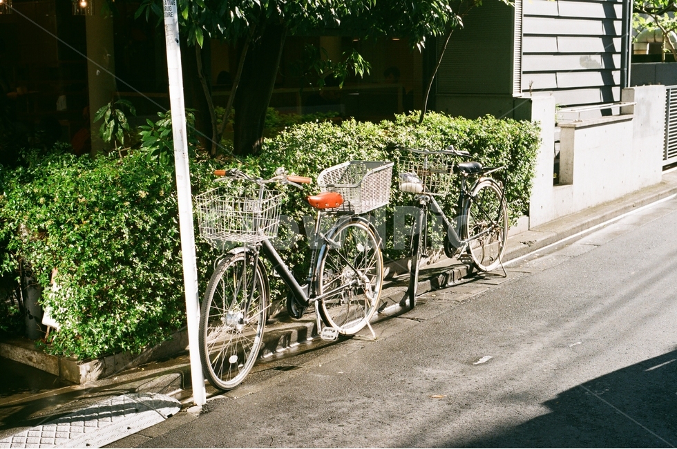 자전거,길,도로,감성,봄,봄,계절,spring,season,감성,sensible,feeling,휴식,힐링,rest,relaxation,healing,wheel,바퀴,machine,기계,bike,transportation,교통,bicycle,vehicle,차량
