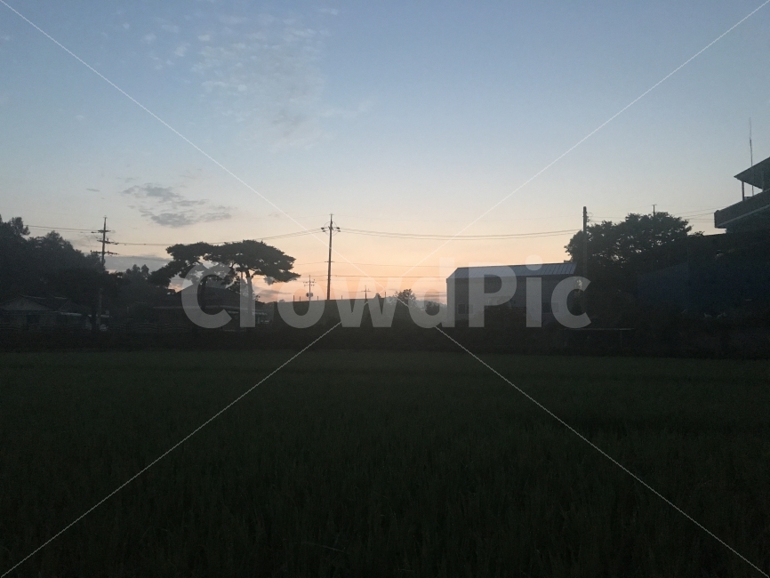 일출,시골,논밭,오전5시,아침이슬,시골,마을,풍경,landscape,country,rural,town