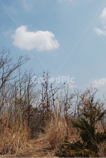 오산,둥주리봉,휴양숲,구례,공원,자연,풍경,nature,landscape