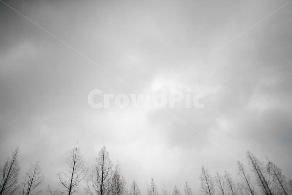 선유도,하늘,구름,겨울,흐림,풍경,나무,tree,plant,식물,nature,자연,weather,날씨,흑백,모노톤,monochrome,black and white