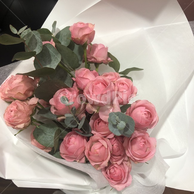 plant,식물,blossom,flowerarrangement,꽃꽂이,flowerbouquet,꽃부케,flower,꽃,식물,자연,plants,nature,꽃,flower,기념일,축하,anniversary,congratulation,celebrate,celebration