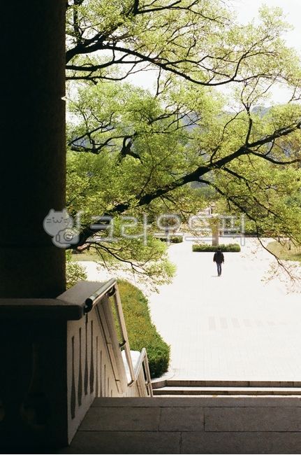 sky,race,nature,stairs,tree,tree branches,film,clouds,summer,outdoor,spring,outdoors,fall,person,background,blue tree,filmcamera,human,film camera