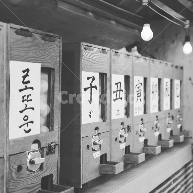 로또,운세,뽑기,운세뽑기,운