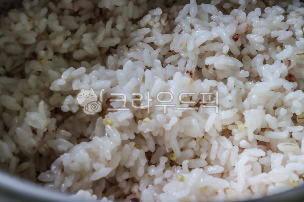 쌀, rice, grain, 곡물, food, 사진,이미지,일러스트,캘리그라피 - joyfulharu작가