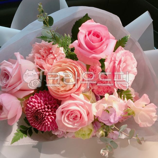 꽃다발,장미꽃,폼폼국화,꽃꽂이,꽃,flowerbouquet,plant,식물,flower,flowerarrangement,blossom