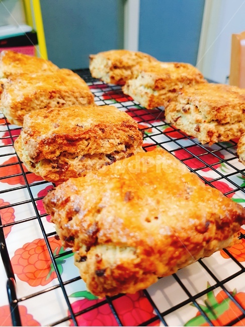 홈베이킹,빵,과자,scone,스콘,오븐