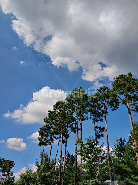 날씨,구름,cloud,weather,하늘,sky,자연,옥외,nature