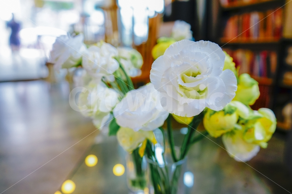 휴식,힐링,꽃,식물,감성,카페,장미,식물,자연,plants,nature,꽃,flower