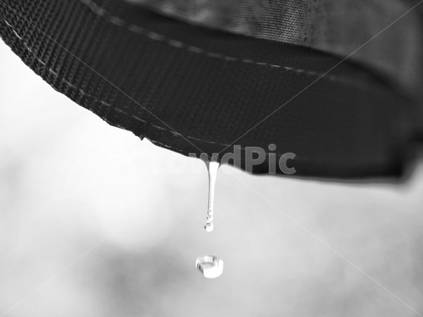 물방울,비,우기,겨울비,장마