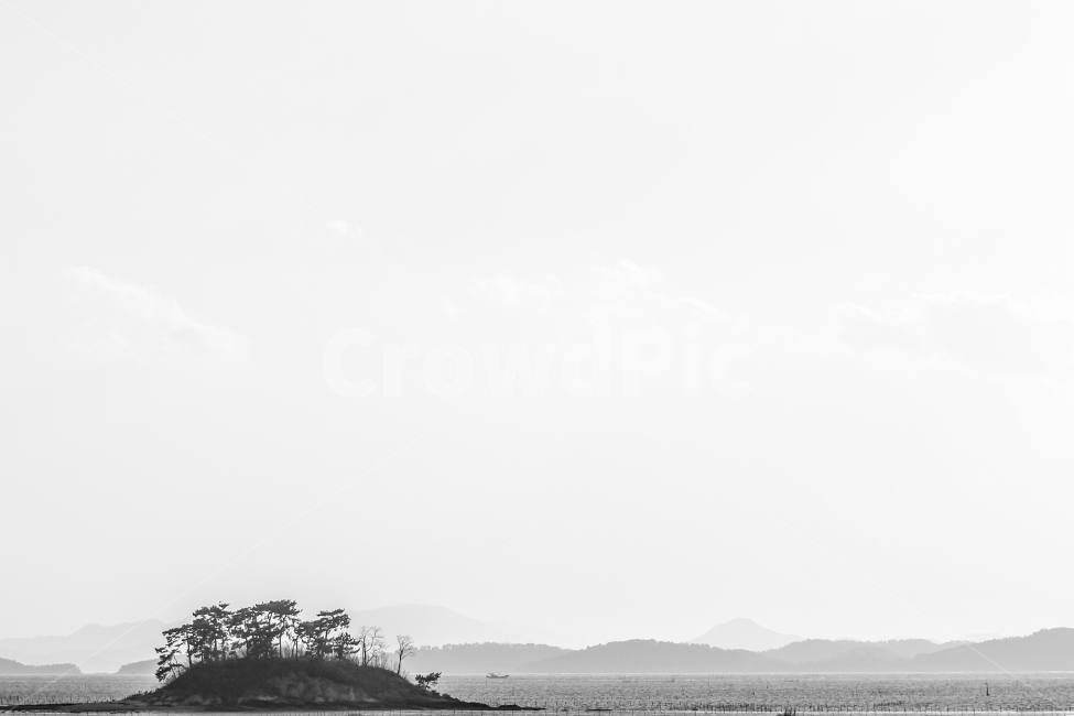 순천,전라도여행,와온해변,솔섬,흑백사진,감성사진,하늘,소나무,여백,여행사진,바다,해변,순천만,자연,풍경,nature,landscape,한국자연풍경,한국자연경관,korea nature landscape,흑백,모노톤,monochrome,black and white,outdoors,옥외