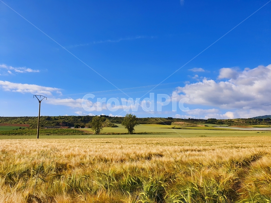 field,들,grassland,목초지,outdoors,옥외,nature,자연,spain,스페인,자연,풍경,nature,landscape