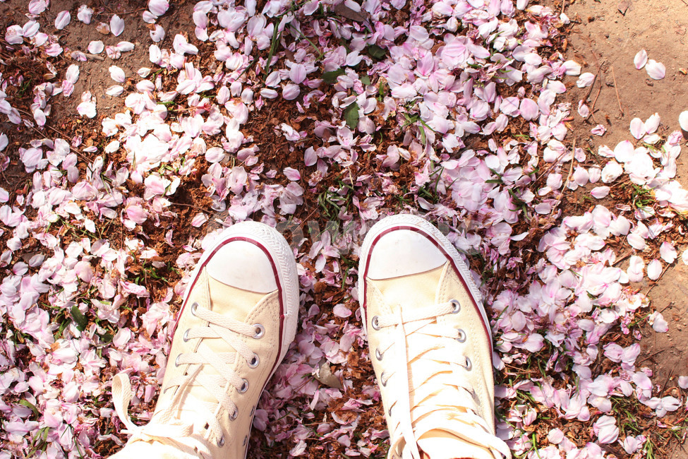 벚꽃,신발,분홍,봄,운동화,봄,계절,spring,season,사람,인물,인간,human,person,신체일부,몸,body
