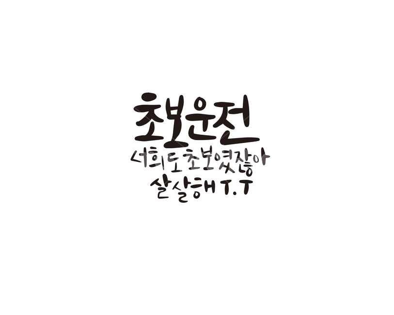 Callie,beginner,Beginner driving,handwriting,drive,caution,calligraphy