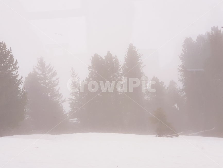 스위스,융프라우,눈,폭설,snow,switzerland,겨울,계절,winter,season