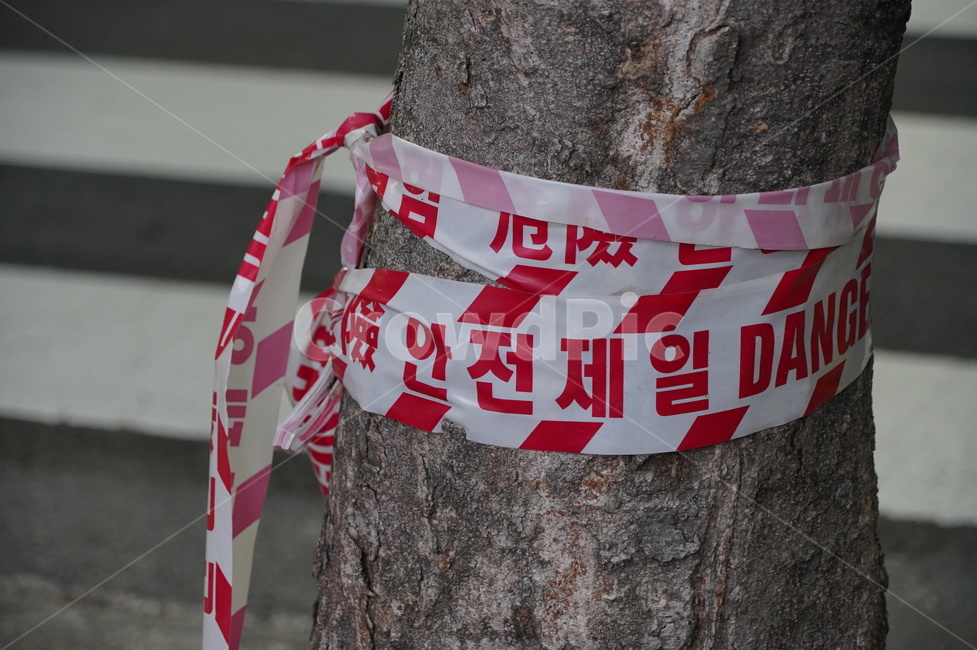 안전제일,안전제일띠,밤,공사,건설,건설현장,공사현장,나무,trees,wood