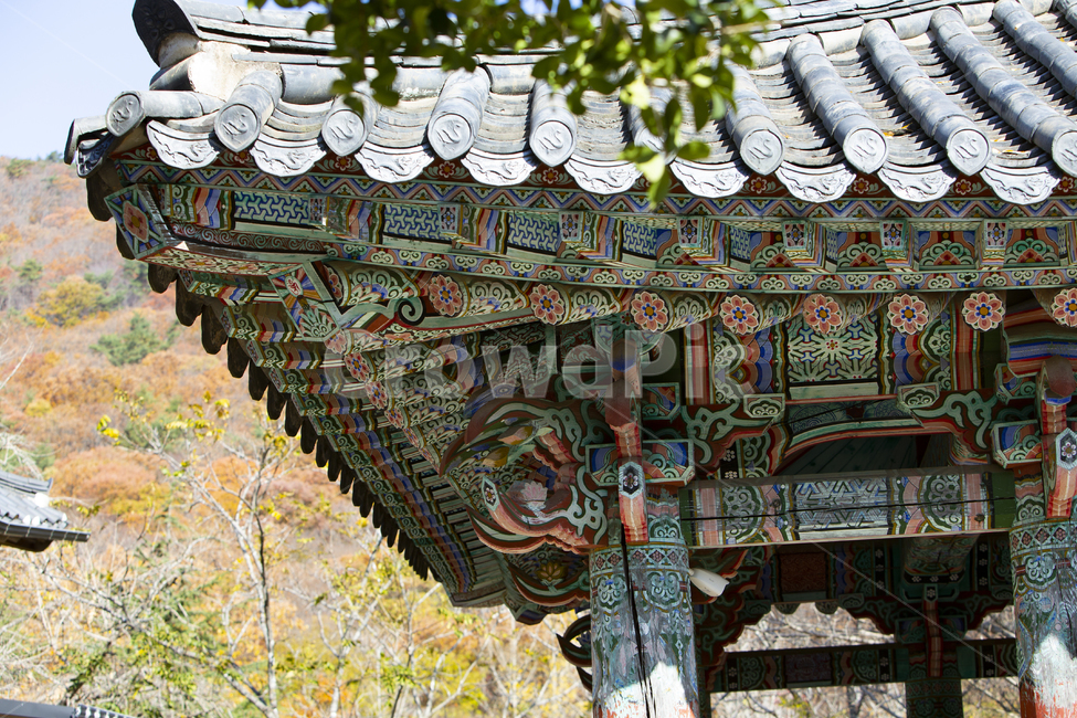 한옥,기와지붕,기와,처마,문양,전통,야외,나무,건물,한국,배경,단청,석가래,기둥,산,한국전통,한국문화,korean traditional,korean culture,건축물,건물외관,exterior,building,structure,architecture,construction