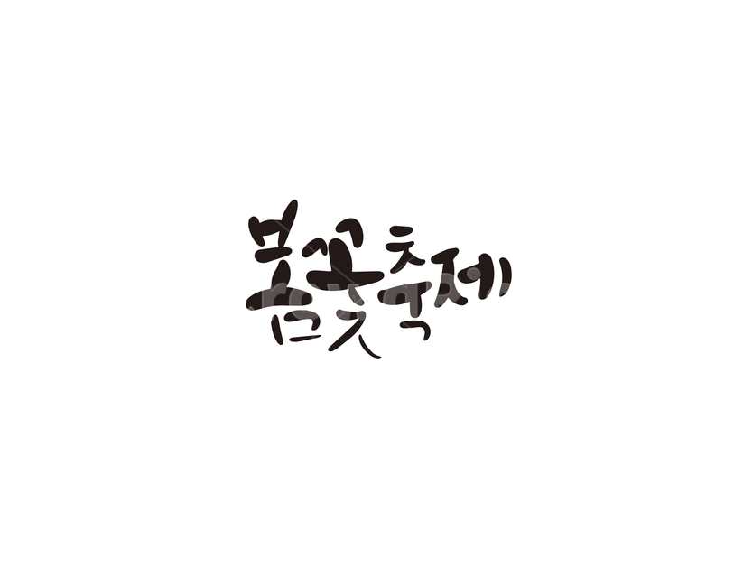 캘리,캘리그라피,봄,봄꽃,축제,festival,손글씨,캘리그라피,손글씨,calligraphy