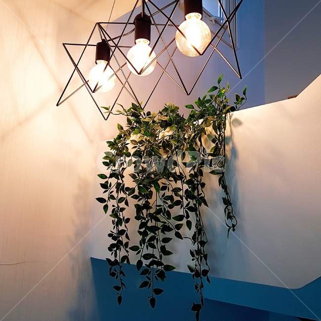 조명,조화,실내,전구,불빛,lamp,artificialflower,bulb,장식품,감성